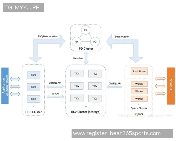 体育实时数据从零基础到高手之路乒乓球配合技巧全解析与实战经验分享